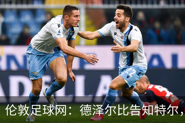 伦敦足球网：德泽尔比告知特尔，他下赛季将会得到重用
